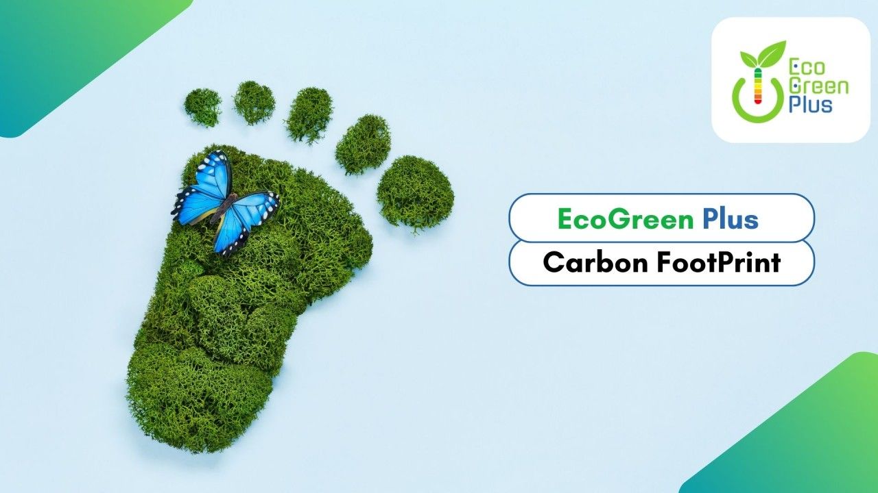 Carbon Footprint: Un Viaggio nel Mondo delle Emissioni di Gas Serra