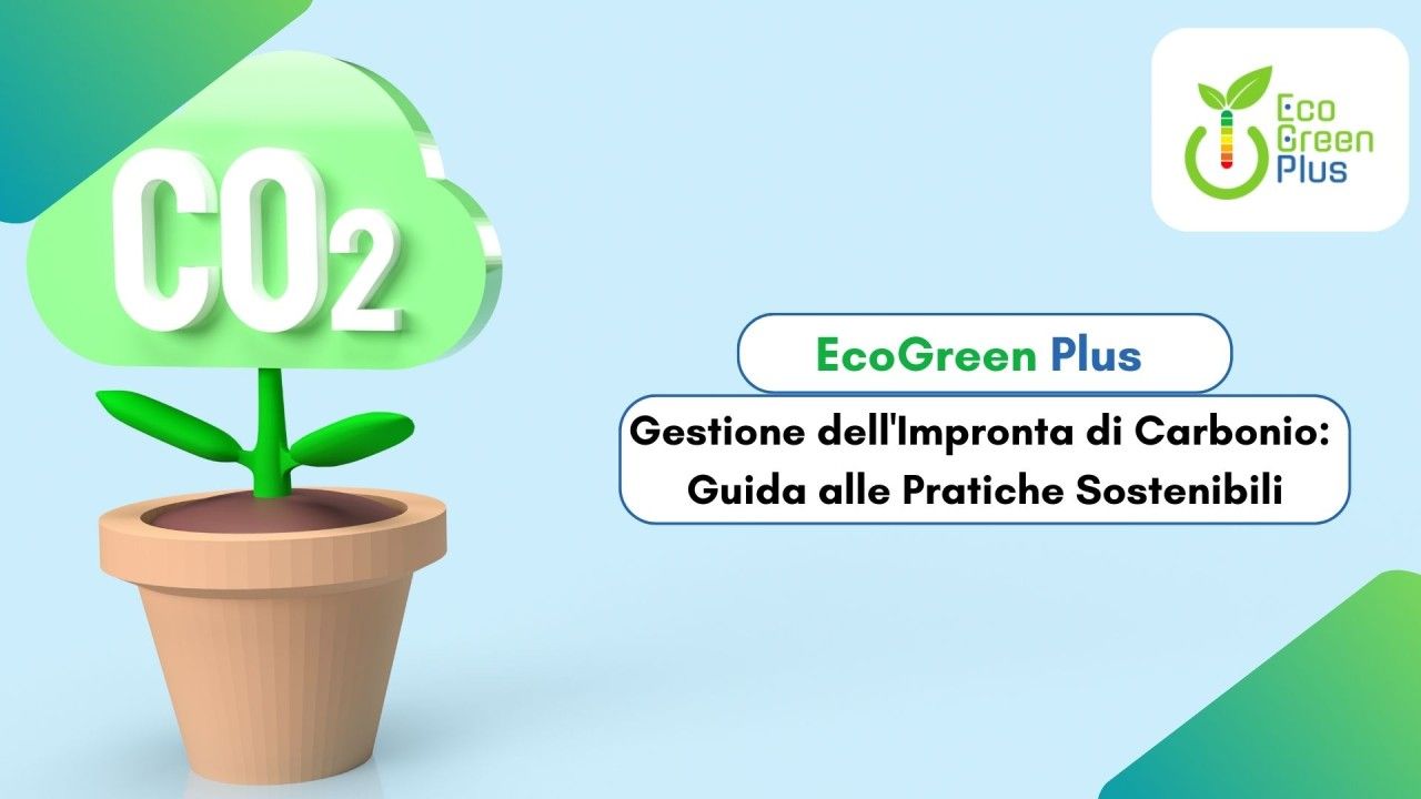 Gestione dell'Impronta di Carbonio: Guida alle Pratiche Sostenibili