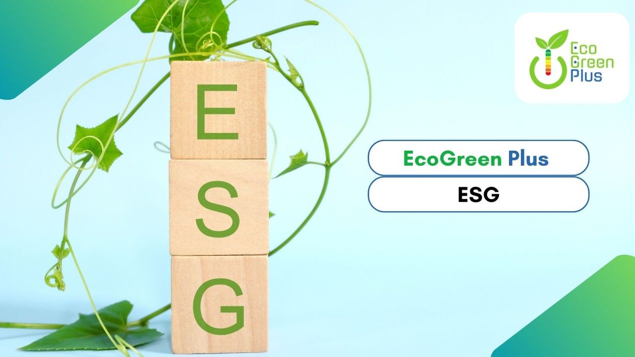 ESG Finanziario e ESG non Finanziario.